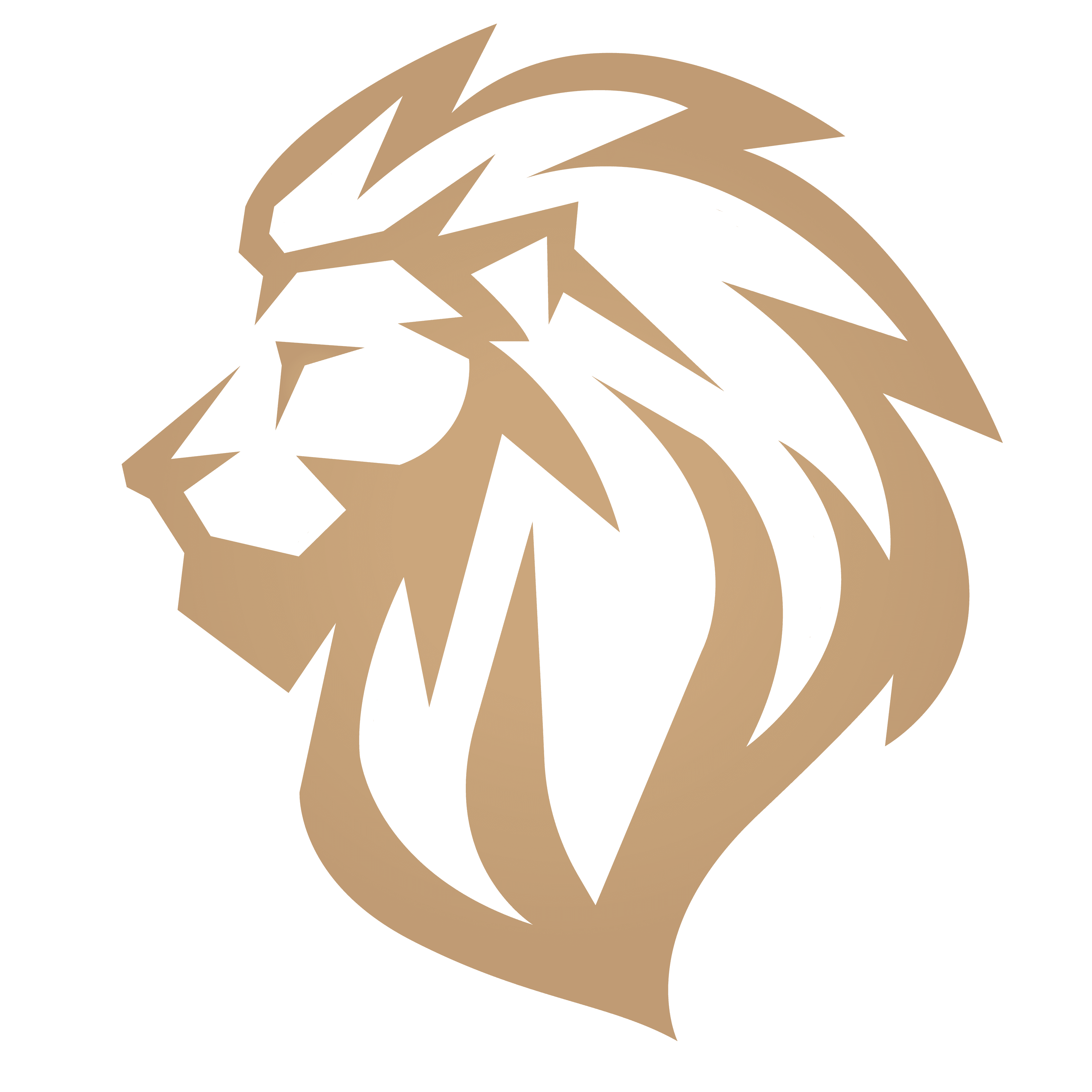 Logo LYON